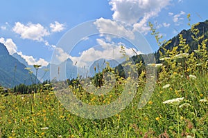 Beautiful summer day in Kranjska Gora, Slovenia