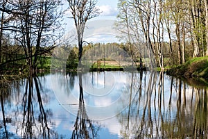 beautiful summer day at the lake, tree reflections in blue water