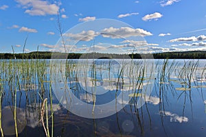 Beautiful summer day in Norrbotten