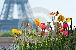 Beautiful summer day in Paris