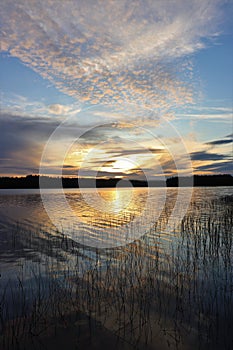 Beautiful summer evening in Norrbotten