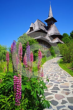 Beautiful summer flowers of Barsana Monastery, Maramures County.