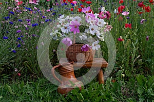 Beautiful summer gardening composition .