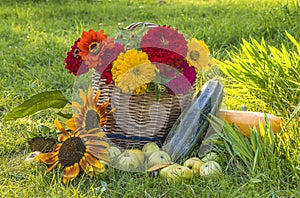 Beautiful summer gardening still life.