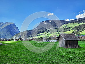 Beautiful summer green alpine nature (Au, Austria)