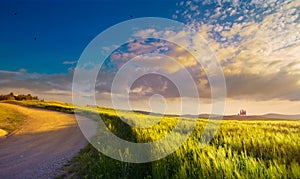 A Beautiful Summer Italian countryside landscape. Empty rural road through a Tuscany green wheat field. Sunset over the field