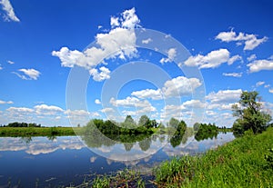 Beautiful summer lake landscape