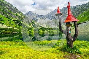 Beautiful summer lake in mountains. High tatras, Slovakia