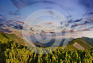 Beautiful summer landscape