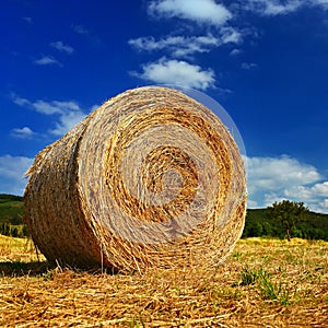 Beautiful summer landscape. Agricultural field. Round bundles of dry grass in the field with bleu sky and sun. Hay bale - haystack