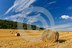 Beautiful summer landscape. Agricultural field. Round bundles of dry grass in the field with bleu sky and sun. Hay bale - haystack