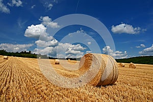 Beautiful summer landscape. Agricultural field. Round bundles of dry grass in the field with bleu sky and sun. Hay bale - haystack