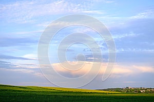 Beautiful summer landscape, blue sky with clouds, green fields of ripening wheat, forest behind the hill, houses, trees, concept