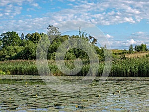 Beautiful summer landscape with calm lake, meadows,