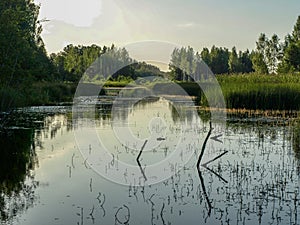 Beautiful summer landscape with calm lake, meadows,