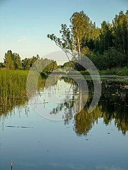 Beautiful summer landscape with calm lake, meadows,