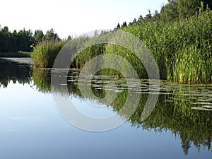 Beautiful summer landscape with calm lake, meadows,