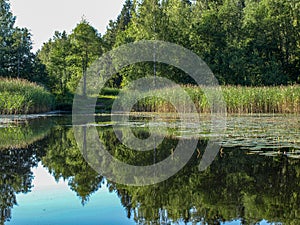 Beautiful summer landscape with calm lake, meadows,