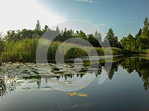 Beautiful summer landscape with calm lake, meadows,