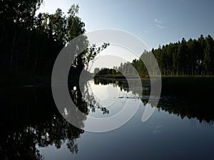 Beautiful summer landscape with calm lake, reflections of different trees,