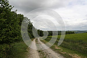 Beautiful summer landscape with cereal fields on a cloudy day