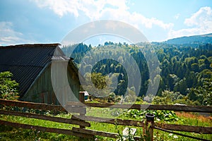 Beautiful summer landscape - countryside on hills with spruces, cloudy sky at bright sunny day. Village with wooden homes.