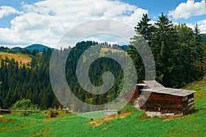 Beautiful summer landscape - countryside on hills with spruces, cloudy sky at bright sunny day. Village with wooden homes.