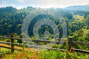 Beautiful summer landscape - countryside on hills with spruces, cloudy sky at bright sunny day. Village with wooden homes.