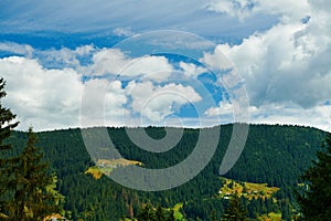 Beautiful summer landscape - countryside on hills with spruces, cloudy sky at bright sunny day. Village with wooden homes.