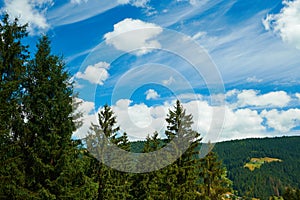 Beautiful summer landscape - countryside on hills with spruces, cloudy sky at bright sunny day. Village with wooden homes.