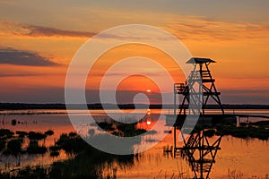 Beautiful summer landscape, the dawn on the lake