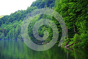 Beautiful summer landscape of Firiza Lake in Maramures County. Romania, Europe.