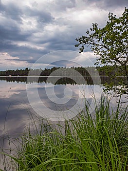 Beautiful summer landscape. Forest lake with sky reflection.