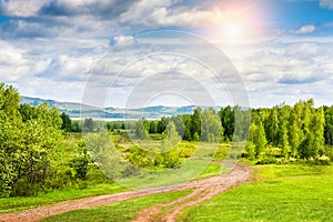 Beautiful summer landscape with forest and mountains