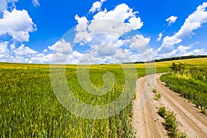 Beautiful summer landscape with green grass, dirt gravel road and white clouds.