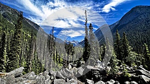 Beautiful summer landscape in Glacier National Park of Canada. British Columbia.