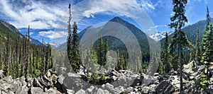 Beautiful summer landscape in Glacier National Park of Canada. British Columbia.