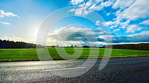 Beautiful summer landscape with green cereal fields and blue sky. Wet asphalt road