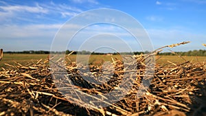 Beautiful summer landscape with haystacks close up. Concept for nature, harvest time and end of summer.