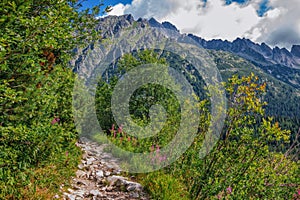 Beautiful summer landscape of High Tatras, Slovakia