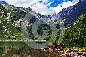 Beautiful summer landscape of High Tatras, Slovakia - Poprad lake