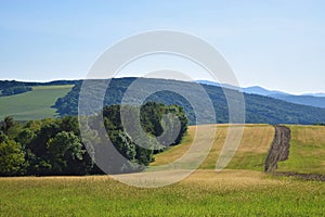 Beautiful summer landscape - Meadow and hills of small carpathians in slovakia