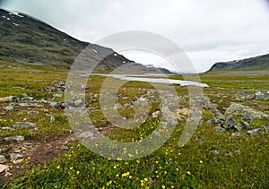 A beautiful summer landscape of mountain river in Sarek National Park, Sweden.