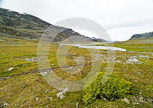 A beautiful summer landscape of mountain river in Sarek National Park, Sweden.