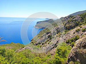 Beautiful Summer Landscape: mountains, blue sea, green trees.