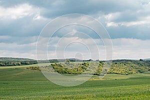 Beautiful summer landscape with mountains and forest