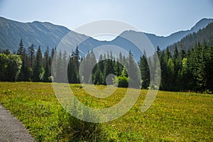 A beautiful summer landscape in mountains. Natural scenery in mountains, national park.