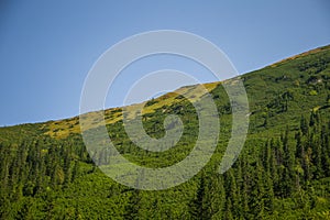 A beautiful summer landscape in mountains. Natural scenery in mountains, national park.