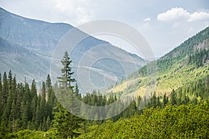 A beautiful summer landscape in mountains. Natural scenery in mountains, national park.