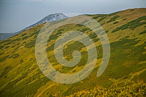 Krásná letní krajina v horách. Přírodní scenérie v horách, národní park.